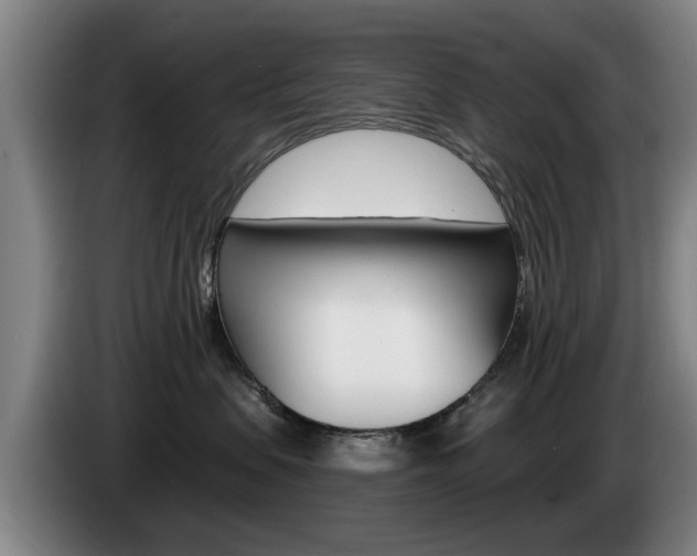 X0000085220479200703090832
