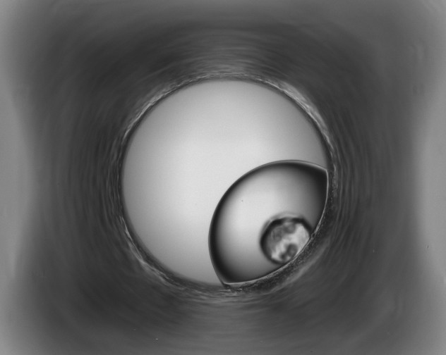 X0000085220481200703090831