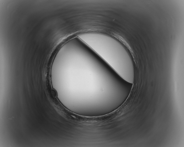 X0000085220483200703090831