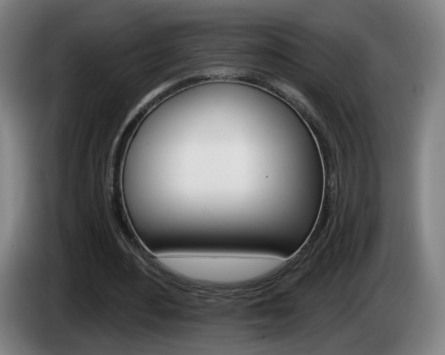 X0000085220484200703090831