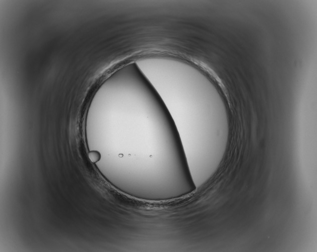 X0000085220487200703090831