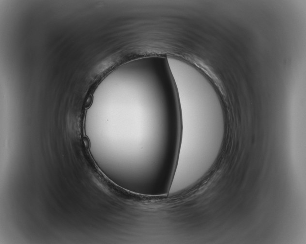 X0000085220489200703090831