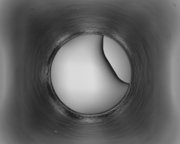 X0000085220490200703090831