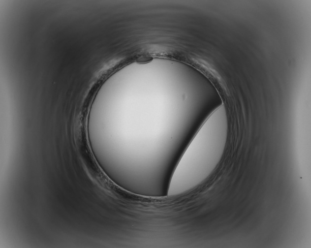 X0000085220492200703090831