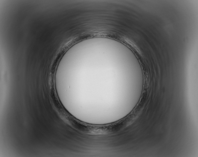 X0000085220494200703090831