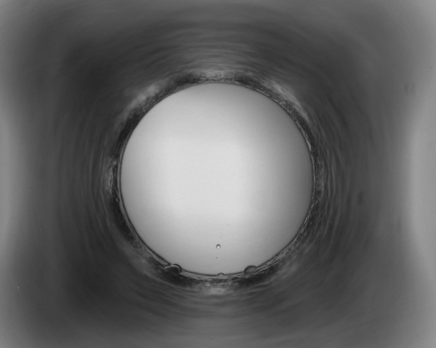 X0000085220495200703090831