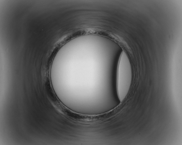 X0000085220496200703090831