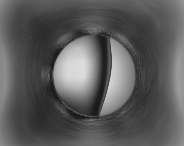 X0000085220501200703090831
