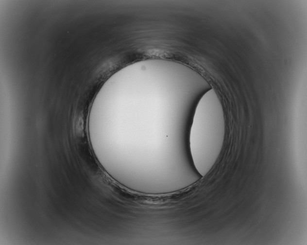 X0000085220502200703090831
