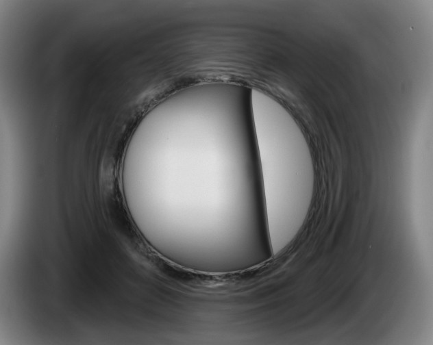 X0000085220504200703090831