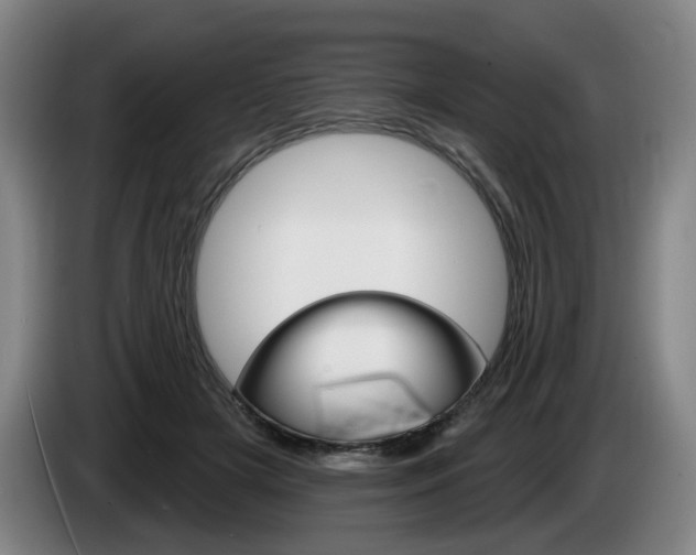 X0000085220505200703090831