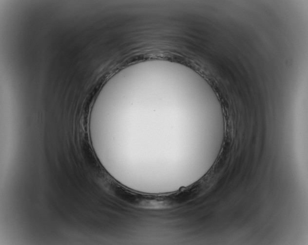 X0000085220506200703090831