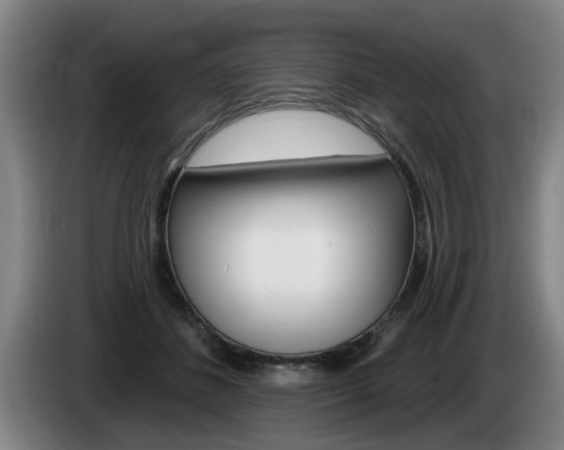 X0000085220508200703090831