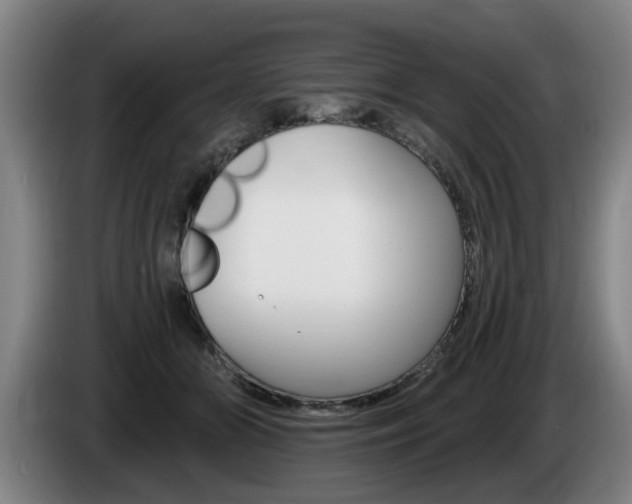 X0000085220510200703090831