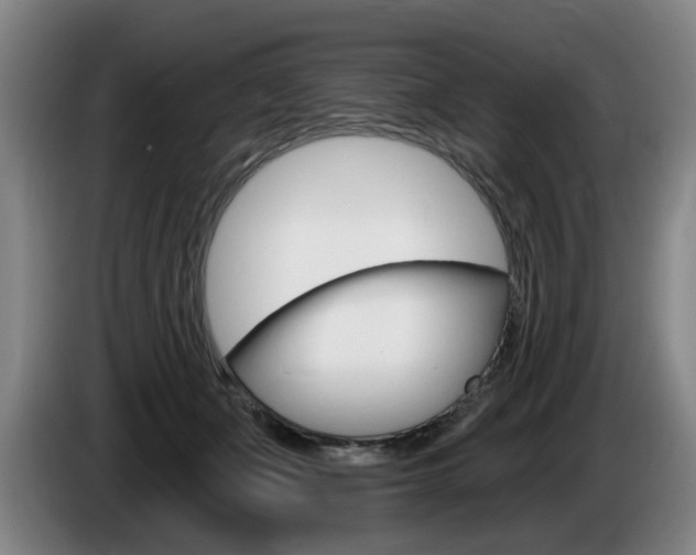 X0000085220511200703090831