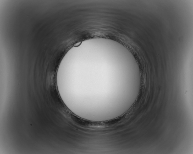 X0000085220514200703090831