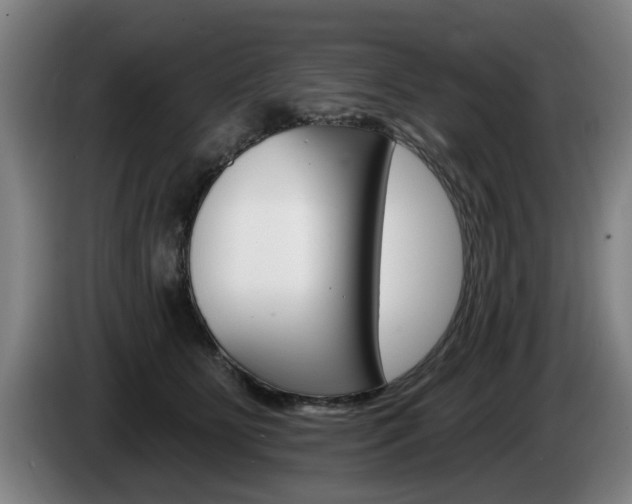 X0000085220515200703090831