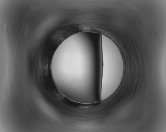 X0000085220525200703090830