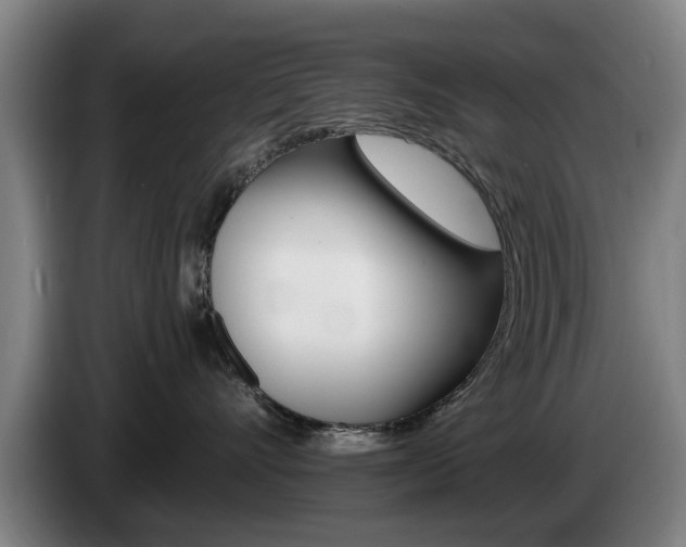 X0000085220528200703090830