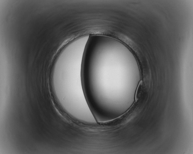 X0000085220530200703090830