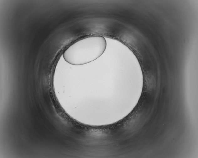 X0000085220534200703090830