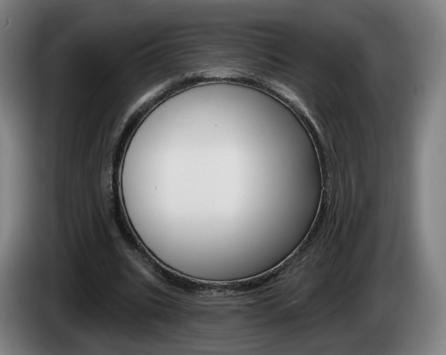 X0000085220535200703090830