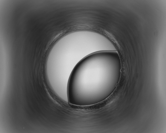X0000085220538200703090830