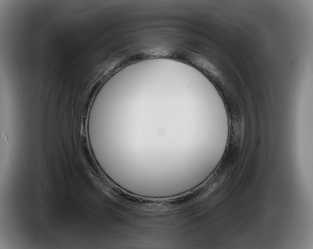X0000085220541200703090830