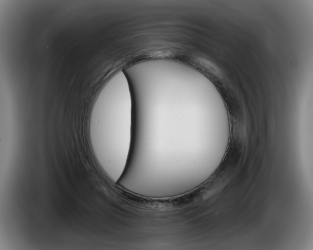 X0000085220549200703090830