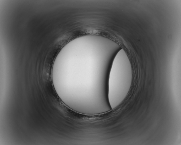X0000085220553200703090830