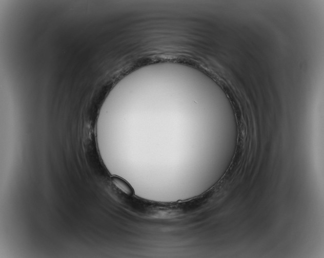 X0000085220555200703090830