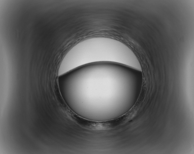 X0000085220558200703090830