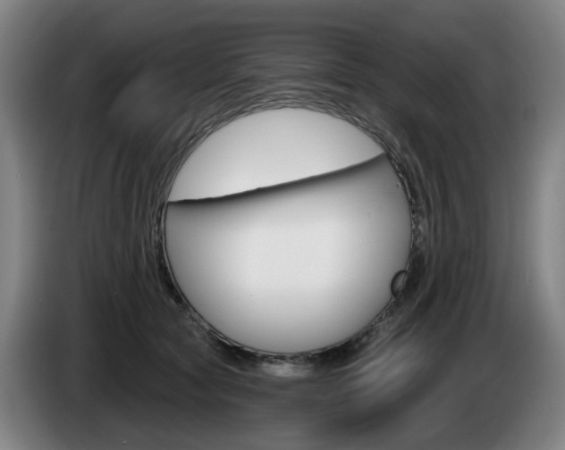X0000085220561200703090830