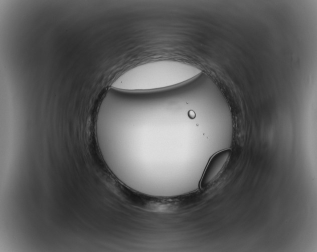 X0000085220563200703090830