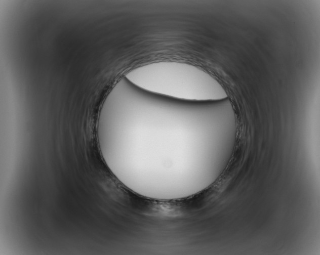 X0000085220565200703090830