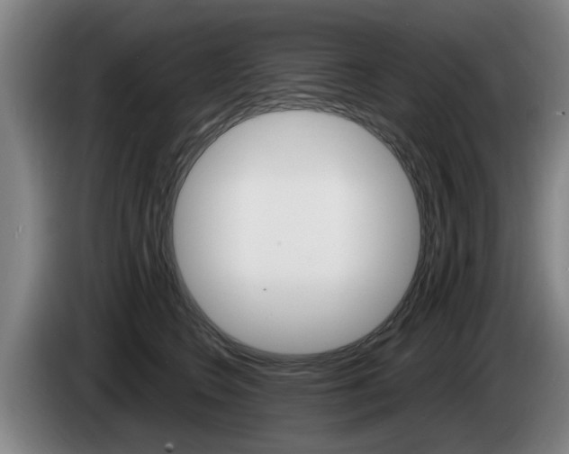 X0000085220566200703090830