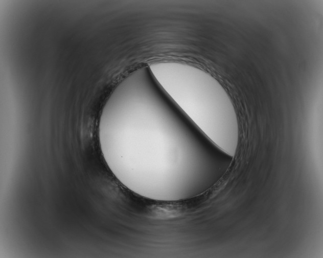 X0000085220567200703090830