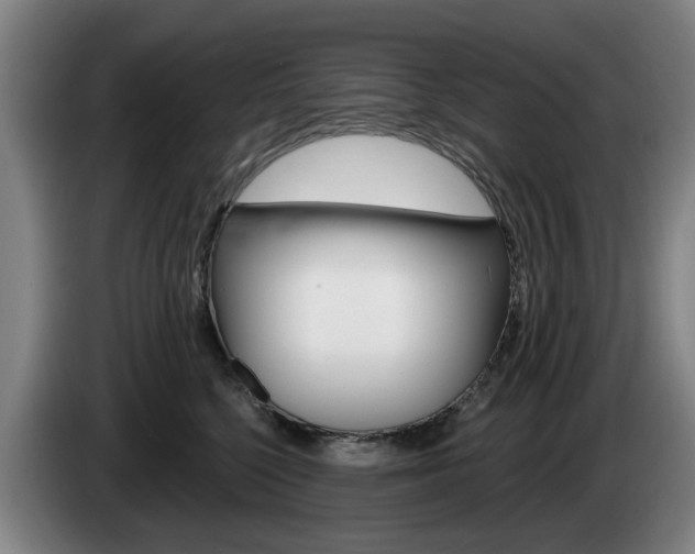 X0000085220568200703090830