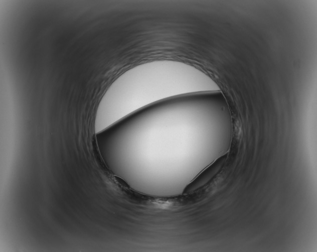 X0000085220570200703090830