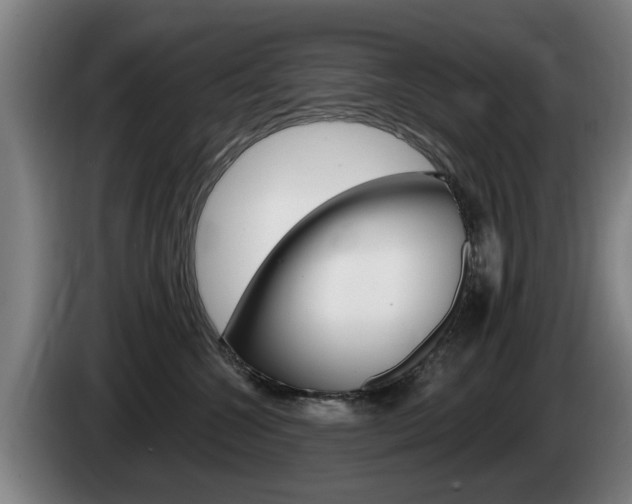 X0000085220572200703090830