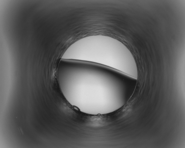 X0000085220574200703090830