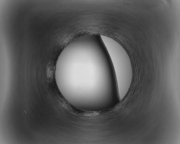 X0000085220576200703090830