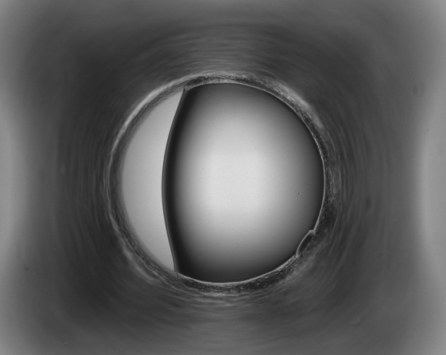 X0000085220580200703090830