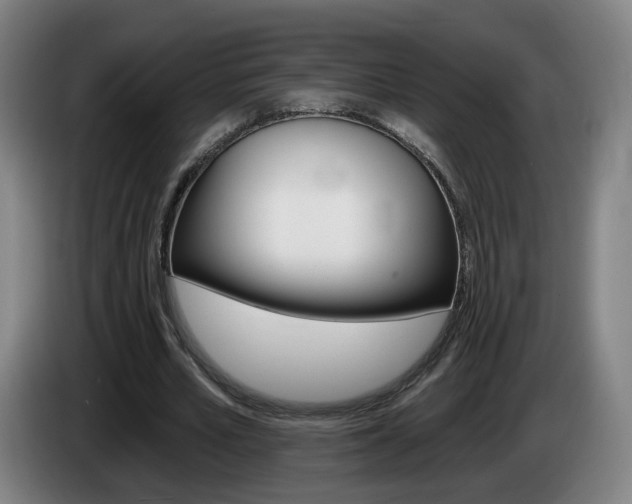 X0000085220581200703090830