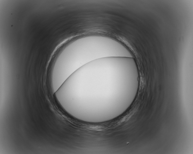 X0000085220583200703090830