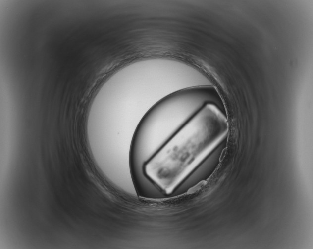 X0000085220589200703090830