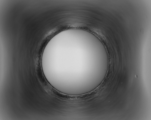 X0000085220591200703090830