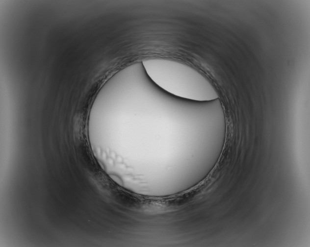 X0000085220594200703090829