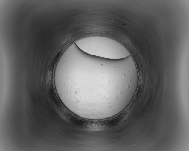 X0000085220598200703090829