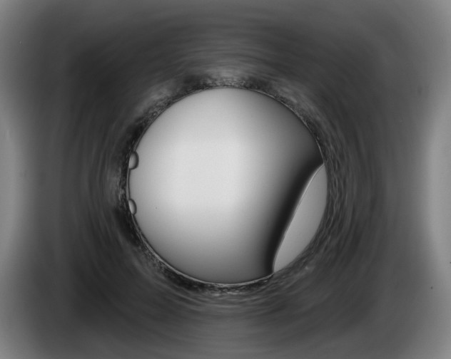 X0000085220599200703090829